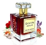 Divin Aoud U parfémovaná voda 100 ml
