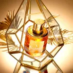Ambassador For Women Eau de Parfum for Women 50 ml