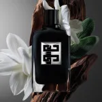 Gentleman Society Eau de Parfum for Men 100 ml