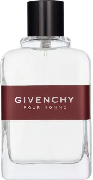 Givenchy Pour Homme eau de toilette for men 100 ml
