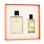 Terre D'Hermès Eau de Toilette for men 100 ml + Shower Gel 80 ml