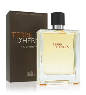 Hermes Terre d'Hermes eau de toilette for men