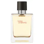 Terre d'Hermes Eau de Toilette for Men 50 ml