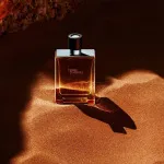Terre d'Hermes Eau de Toilette for Men 50 ml