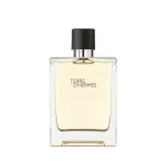 Terre d'Hermes Eau de Toilette for Men 50 ml