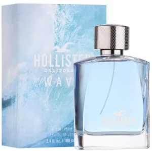 Hollister Wave For Him Eau de Toilette 100 ml for men