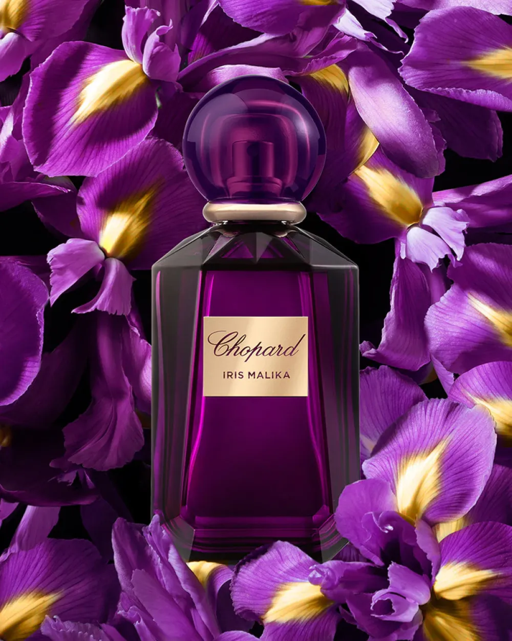Imperiale Iris Malika Eau de Parfum for Women 100 ml