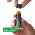 Incognito Citronella essential oil BIO (10 ml) - does not smell to difficult insects
