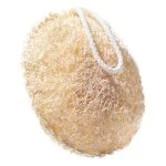 Incognito Luxury Loofah with Java Citronella Soap - Repels Annoying Insects