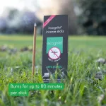 Incognito Scented sticks Lemongrass (10 pcs) - does not smell to difficult insects