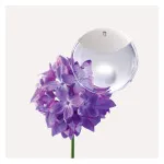 A Drop d'Issey Eau de Parfum 50 ml for women