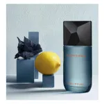 Fusion D'Issey Eau de Toilette 100 ml for Men