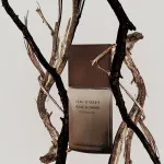 L'Eau d'Issey Pour Homme Wood&Wood Eau de Parfum for Men 100 ml