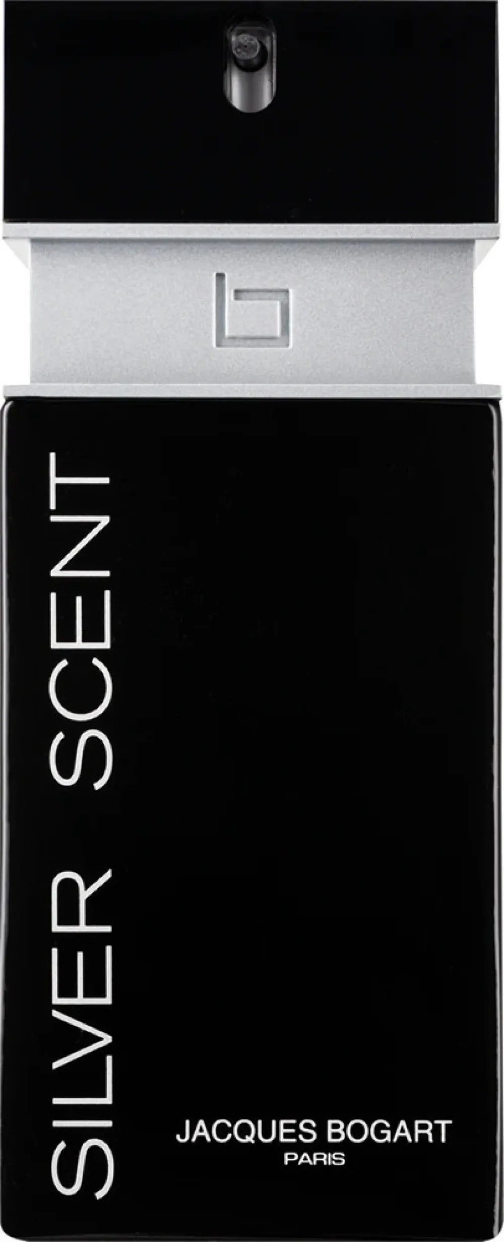 Silver Scent Eau de Toilette for men 100 ml