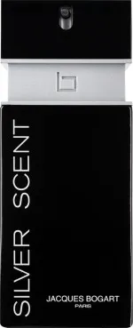 Silver Scent Eau de Toilette for men 100 ml