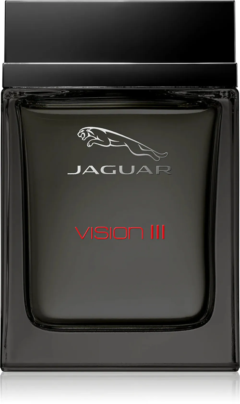 Vision III Eau de Toilette for Men 100 ml