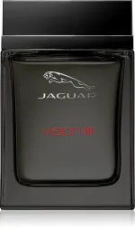 Vision III Eau de Toilette for Men 100 ml