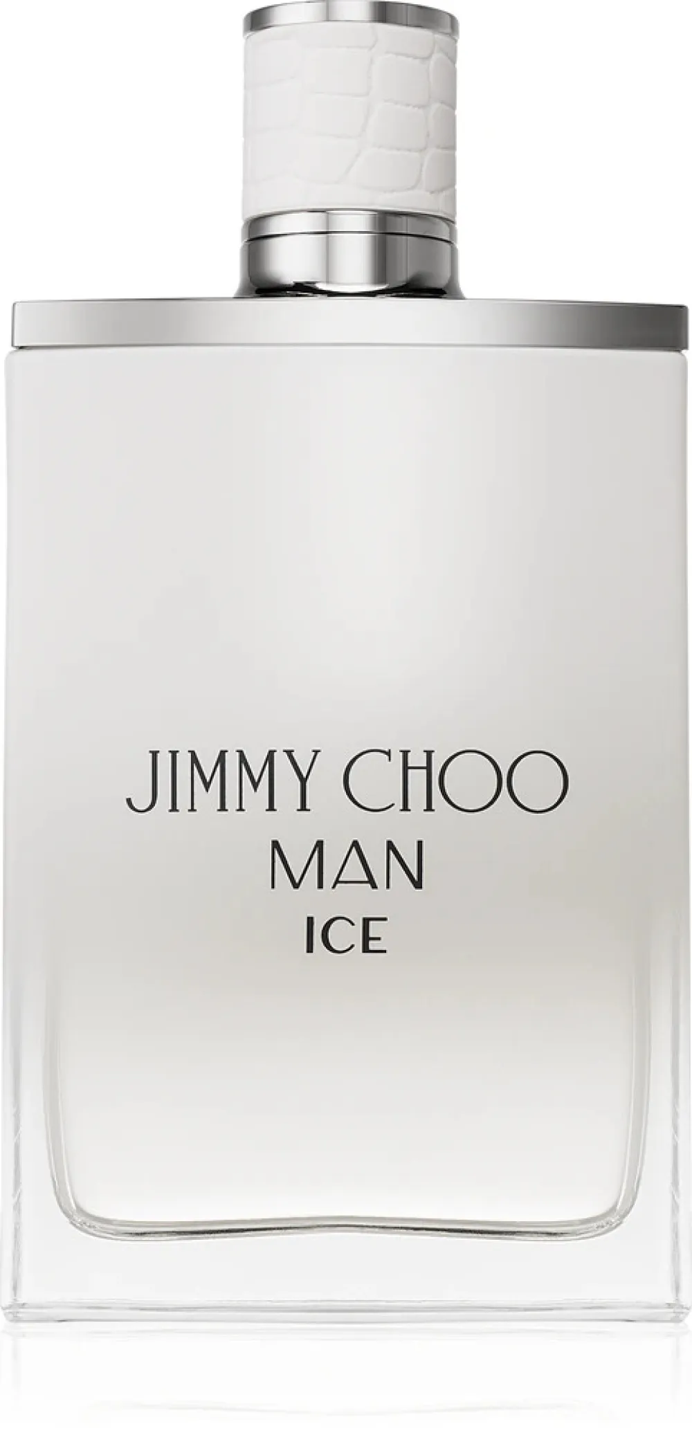 Man Ice eau de toilette for men 100 ml