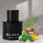 Black For Men Eau de Toilette for Men 100 ml