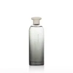 Power Eau de Toilette for Men 75 ml