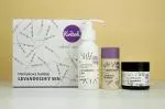 Kvitok Lavender Dream gift package - shower, deodorant and body cream