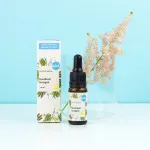 Kvitok Skin Serum - Plant Collagen (10 ml) - smoothes and improves elasticity