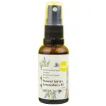 Kvitok Spray for detangling and protecting hair (30 ml) - with ceramides and provitamin b5