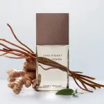 L'Eau d'Issey Pour Homme Vétiver Intense eau de toilette for men 100 ml