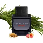 Encre Noire Sport eau de toilette for men 100 ml