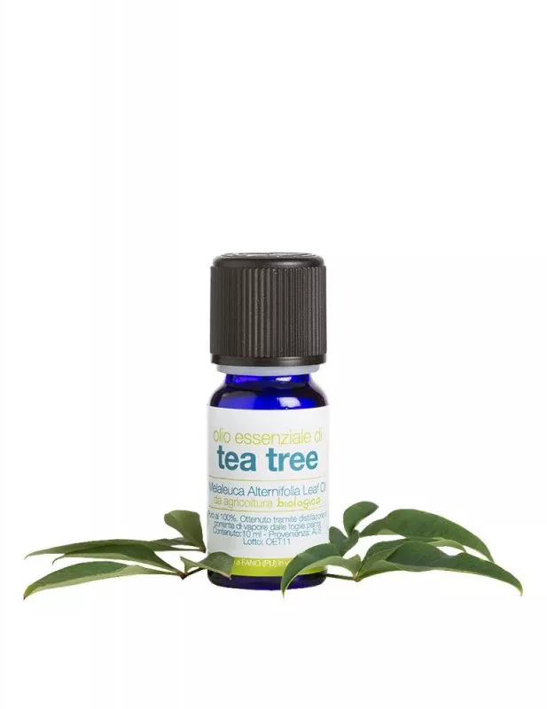 laSaponaria Essential oil - BIO tea tree (10 ml)