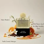 Rave Pure Desire Gold W parfémovaná voda 100 ml