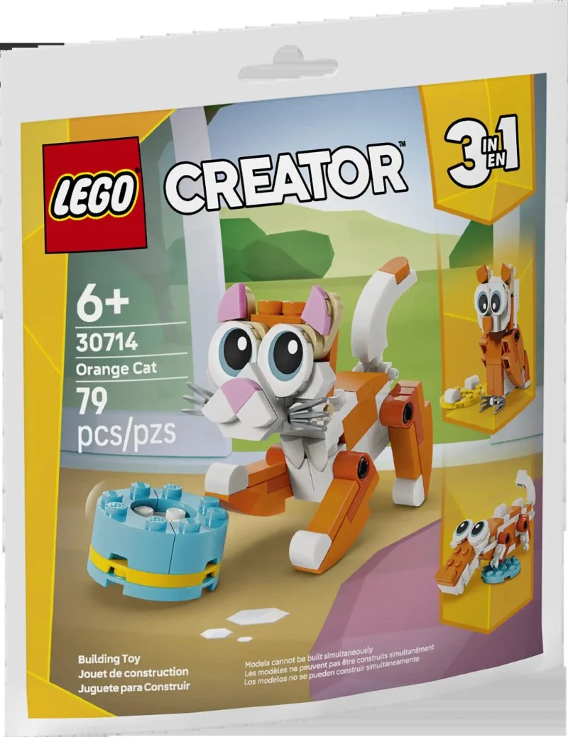 30714 Orange Cat