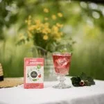 LEROS Bucco Cold Brew Herbal Blend - Infusion Bags (20 x 1.5 g) - for Iced Tea Preparation