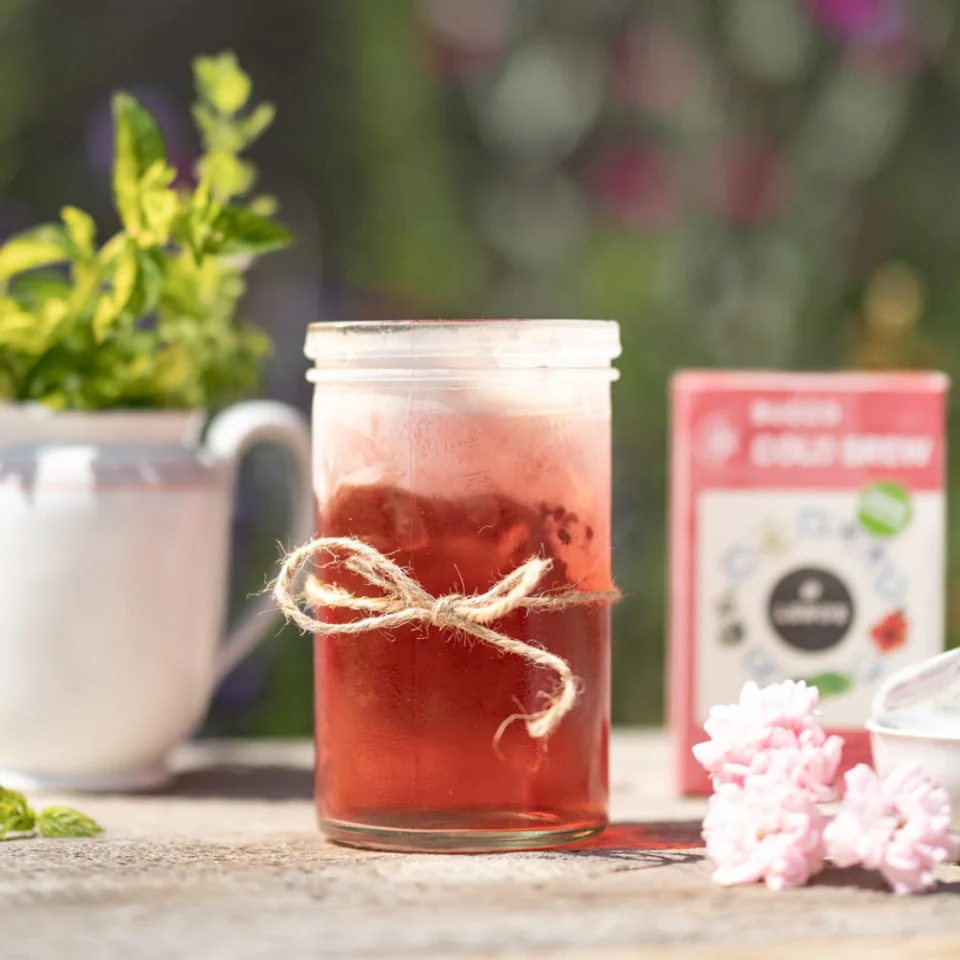 LEROS Bucco Cold Brew Herbal Blend - Infusion Bags (20 x 1.5 g) - for Iced Tea Preparation