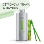 Impressive Volume Shampoo 250 ml