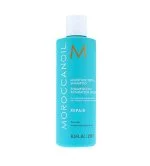 Moisture Repair Shampoo regenerating shampoo 250 ml