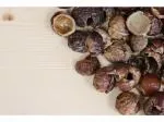 Tierra Verde Soap Nuts (bucket 5 Kg)