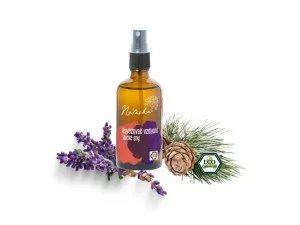 Natasha Air Freshener - Sweet Dreams (100 ml) - Soothes and Prepares for Sleep