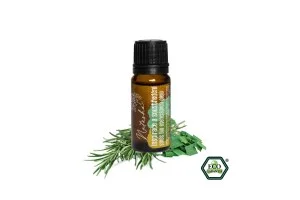 Natasha Essential Oil Blend (10 ml) - Inspiration and Focus