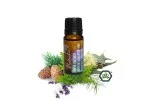 Natasha Essential Oil Blend (10 ml) - Breathe Freely - Fresh Spring Pick-Me-Up