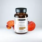 Neobotanics Neocellium (60 capsules) - with extracts of vital mushrooms and ginseng