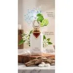 Noble Cedar Unisex Perfume Extract 100 ml