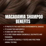 Oil Extract Shampoo 400 ml
