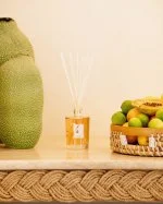 Ibisco Sticks Ml.100 Home Fragrance-Tfu