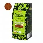 Radico Natural hair dye BIO (100 g) - golden blonde
