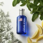 Polo Sport Eau de Toilette for Men 75 ml