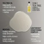 3-in-1 Tea Tree Shampoo-Conditioner-Body Wash shampoo for men 3-in-1 for men 350 ml