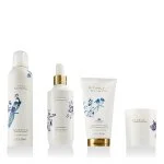 Amsterdam Collection Large Gift Set