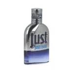 Just Cavalli Him 2013 Eau de Toilette for Men 30 ml