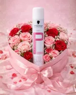 Professional Professionnelle Lacque professional hairspray 500 ml